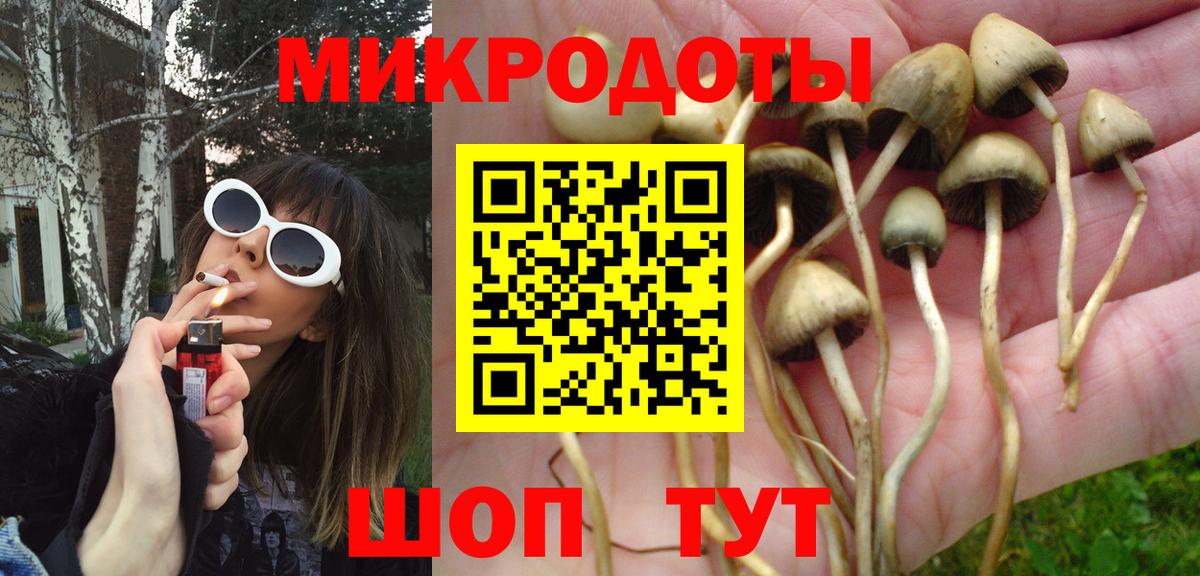 Похвистнево  Псилоцибиновые грибы мухоморы  Псилоцибиновые грибы Cubensis  Вход с VPN 